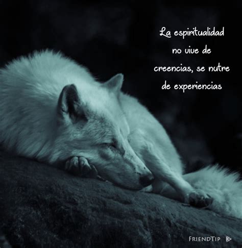 Total Imagen Frases Y Lobos Abzlocal Mx