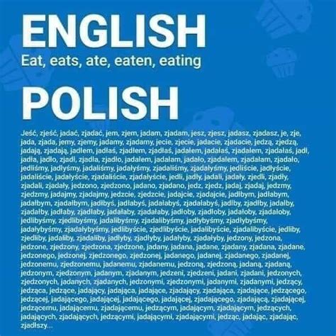 Would you like to know how to translate saying to polish? English vs Polish : europe