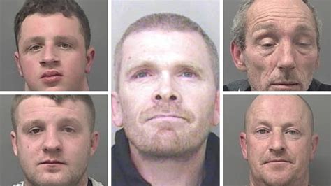 Five Men Jailed Over Badger Baiting In Melton Bbc News