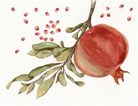 Pomegranate Watercolor Art Original Painting By Lorisworld