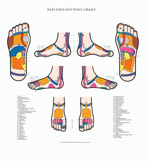 Printable Acupressure Points Chart