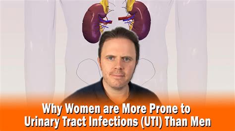 Why Women Are More Prone To Urinary Tract Infections Uti Than Men Youtube