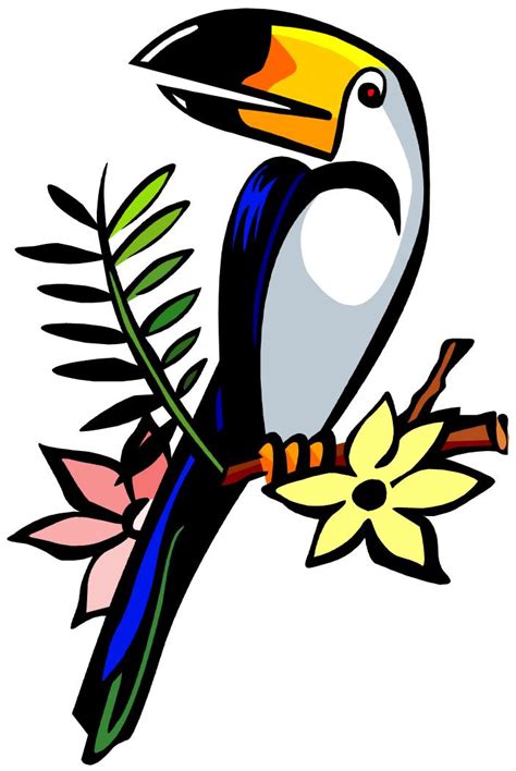 Tucan Clipart 20 Free Cliparts Download Images On Clipground 2024