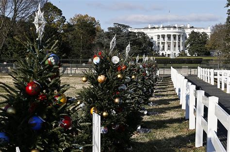 National Christmas Tree Lighting Takes Place Dec 5 On White House Lawn