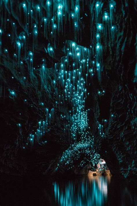 🔥 Waitomo Cave In New Zealand Luminated By Glowworms 🔥 R