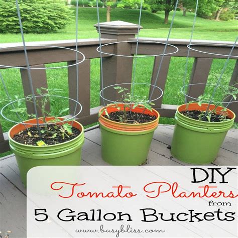 Diy Tomato Planters From 5 Gallon Buckets Tomato Planter Tomato