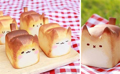 This Adorable Looking Breadcat Gets More Attention Than My Real Cat