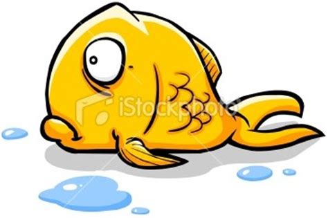 Stock Illustration Goldfish Out Of Water Free Images At Clker Com