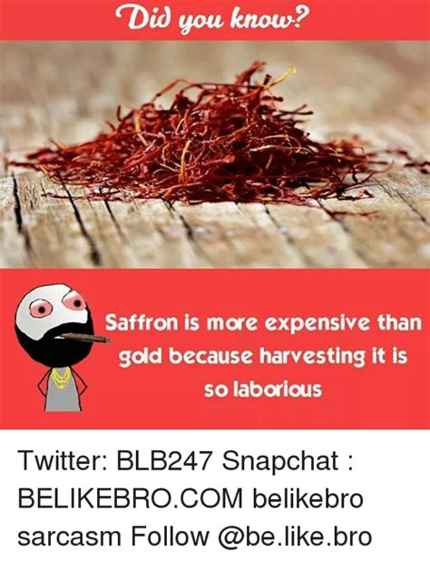 Saffron is more expensive than gold, and the dessert in vancouver's siddhartha's indian kitchen's chef's table menu has both. Did You Know? Saffron Is More Expensive Than Gold Because Harvesting It Is So Laborious Twitter ...