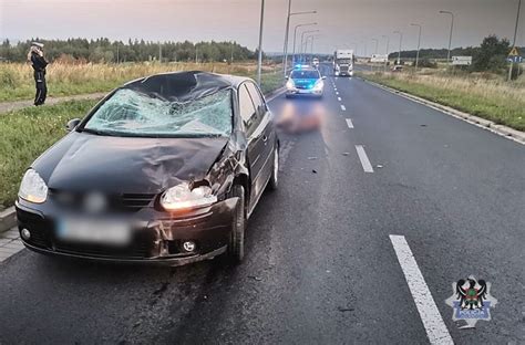 Groźny wypadek w Wałbrzychu Jeleń wbiegł pod koła dwóch samochodów