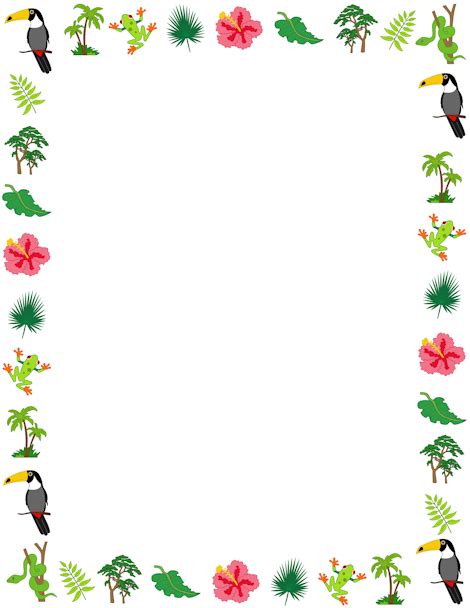 A Rainforest Page Border With Animals And Plants From The Rainforest