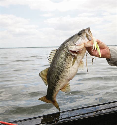 System requirements of the selected product. Pennsylvania Bass Hotspots - Game & Fish