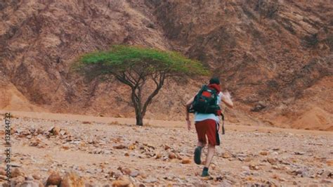 Lost In The Desert Man Runs To The Green Tree And Shade Stock Footage