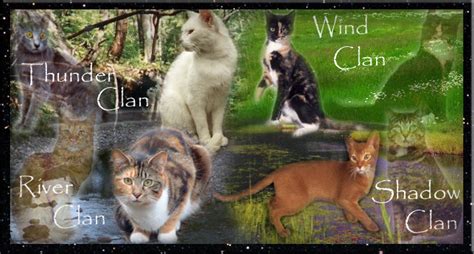 The 4 Clans Warrior Cats Clan Photo 31565879 Fanpop