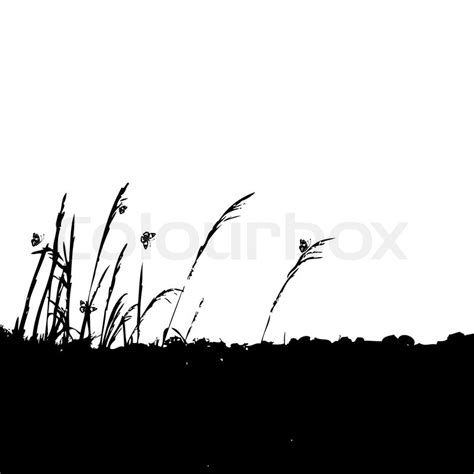 Vector image of marsh grass in the water. Grass silhouette black | Stock Vector | Colourbox