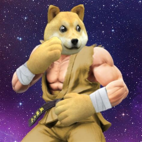 Doge Texture Roblox Roblox Bear Png