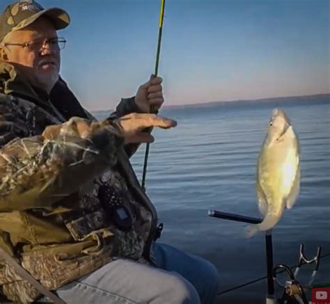 Successful Crappie Fishing Tactics Put More Fish In The Boat