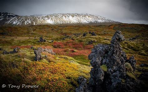 A Guide To Icelands Lava Fields Volcanic Iceland Iceland Locations
