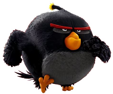 Angry Bird Black