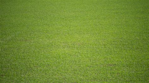 Natural Background Of A Green Football Pitch Of Grass 2316541 Stock