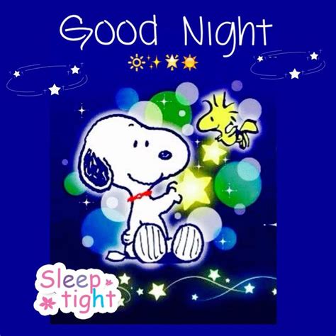 Pin By Janelle Andrade On Snoopy With Images Goodnight Snoopy