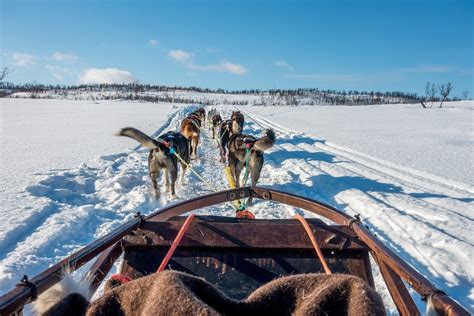 Dog Sledding In Tromso Norway An Arctic Adventure