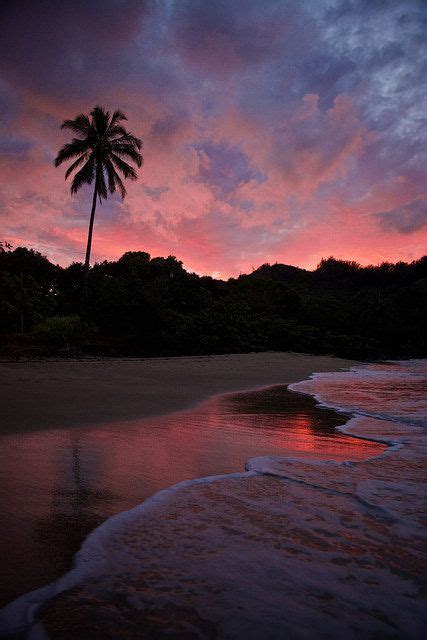 Paradise In Pink Scenery Beach Sunset