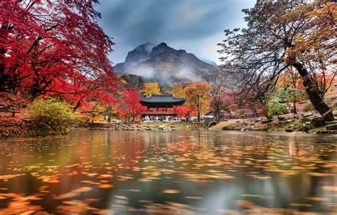 Korean Autumn Wallpapers Top Free Korean Autumn Backgrounds