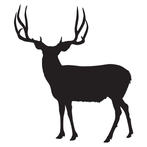 White Tailed Deer Utah Wild Boar Moose Deer Png Download 600600