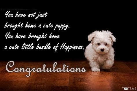 Congratulations For New Pet Webprecis