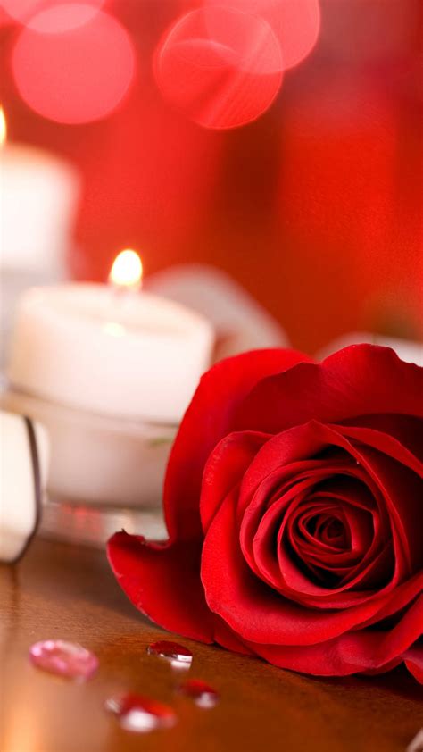 download romantic rose and candle wallpaper