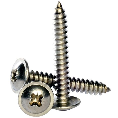 No4 No6 No7 A2 Stainless Steel Torx Pan Head Self Tapping Screws