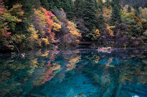 Fivecolor Pond In Fall Jiuzhaigou Valley China Stock Photo Download
