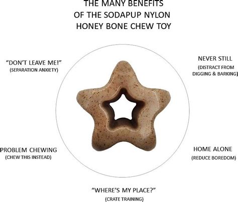 Sodapup Nylon Star Chew And Enrichment Dog Toy