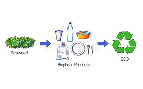 Bioplastic Products From Seaweed Seaweed Replace Plastic Packaging