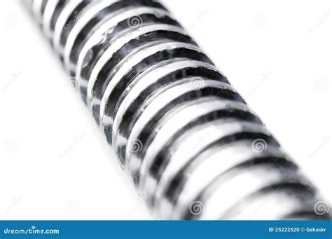 Metal Thread Stock Photo Image Of Stainless Head Gray 25222520