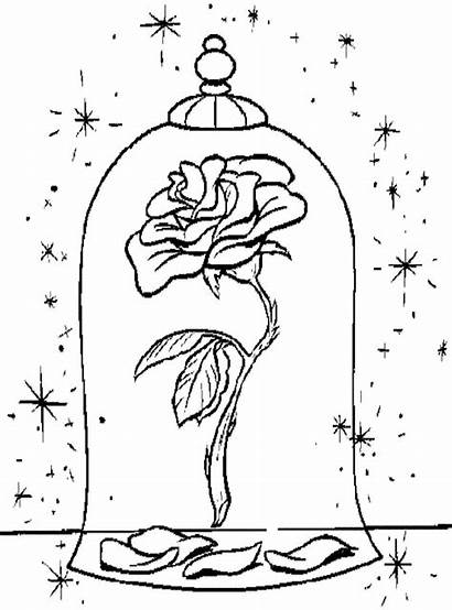 Beast Beauty Coloring Pages Rose Disney Printable