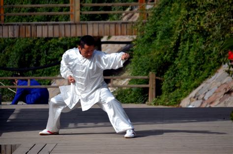 Kung Fu Pose Free Stock Photo Public Domain Pictures