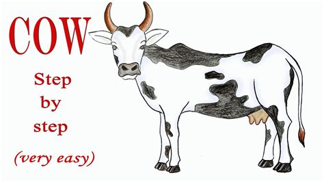 Cow Simple Drawing Piedase