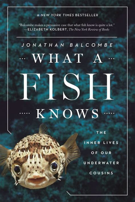 What A Fish Knows The Inner Lives Of Our Underwater Cousins Jonathan
