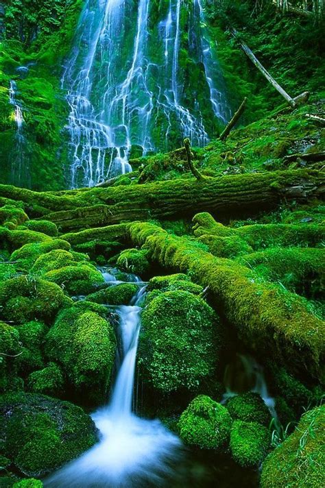 Amazing Photos Of Waterfallsproxy Fallsoregón Beautiful Nature