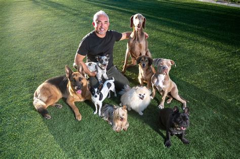 ‘dog Whisperer Cesar Millan Says If You Want A Better Behaved Dog Be