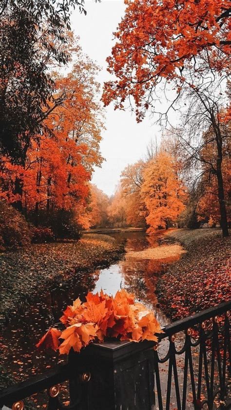 Free Download Beautiful Autumn Wallpaper In 2020 Autumn Scenery Fall