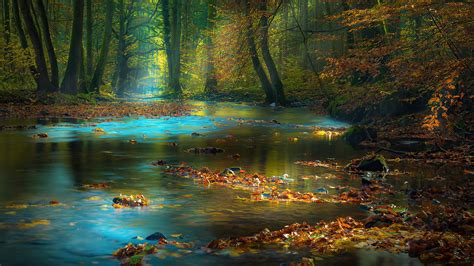 1280x720 River Sunbeam Autumn 4k 720p Hd 4k Wallpapers Images