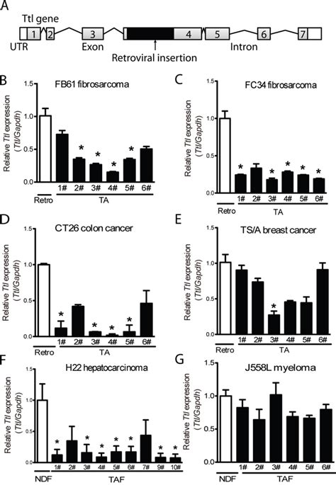 Oncotarget Identifying Tumor Promoting Genomic Alterations In Tumor