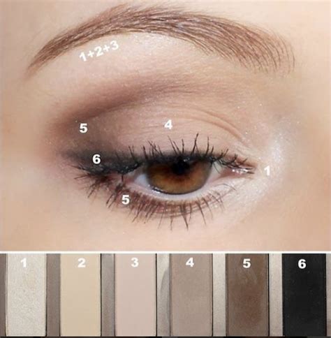 5 Step To Create Light Brown Eyeshadow Look Luxury Makeup