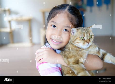 Cute Asian Girl Hug And Play Scottish Fold Cat At Home Pet Animal