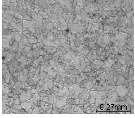 Microstructures Of Austenitic 316L SS Revealing Polygonal Grain
