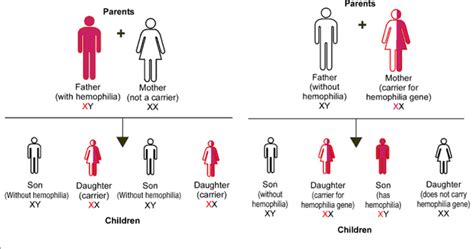 Figure 5 illustrates several examples. Bionomipa: Indikator 34: Pewarisan Cacat/Penyakit Menurun ...
