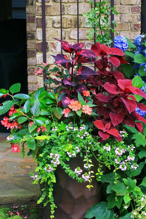 Flowers In Pots For Shade Shade To Part Shade Container Using A Mix